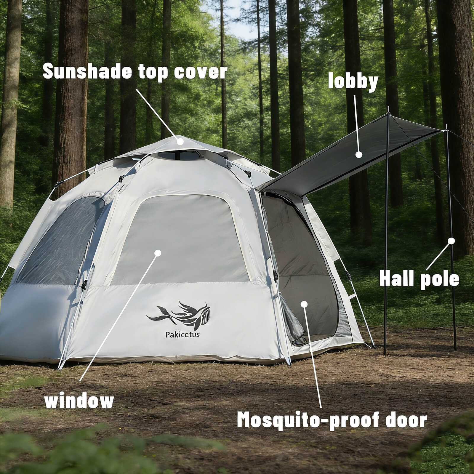 Eclat du tent セット Ultralight Freestanding One or Two Person