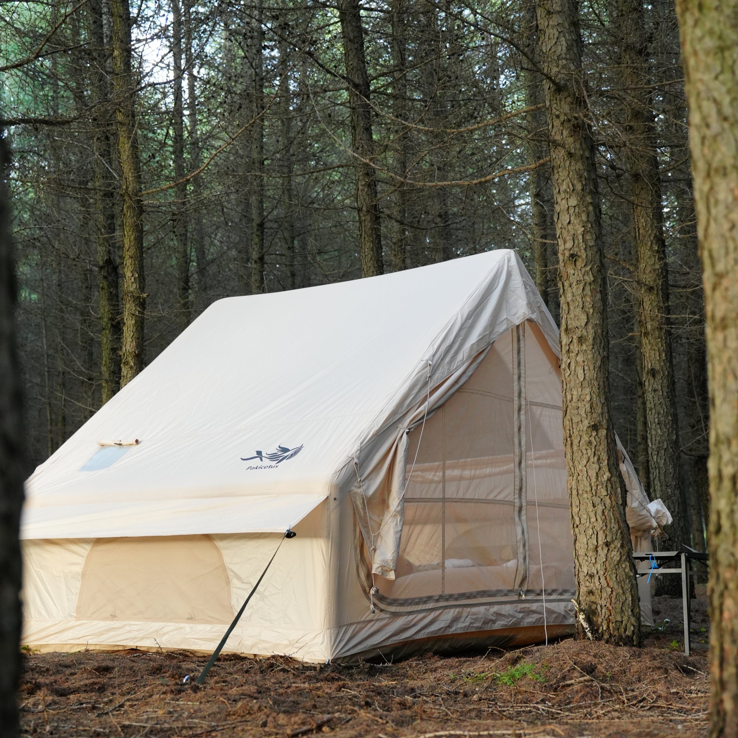 🏕️ Best Inflatable Tent for Camping in 2026 | Pakicetus Tent Buying Guide