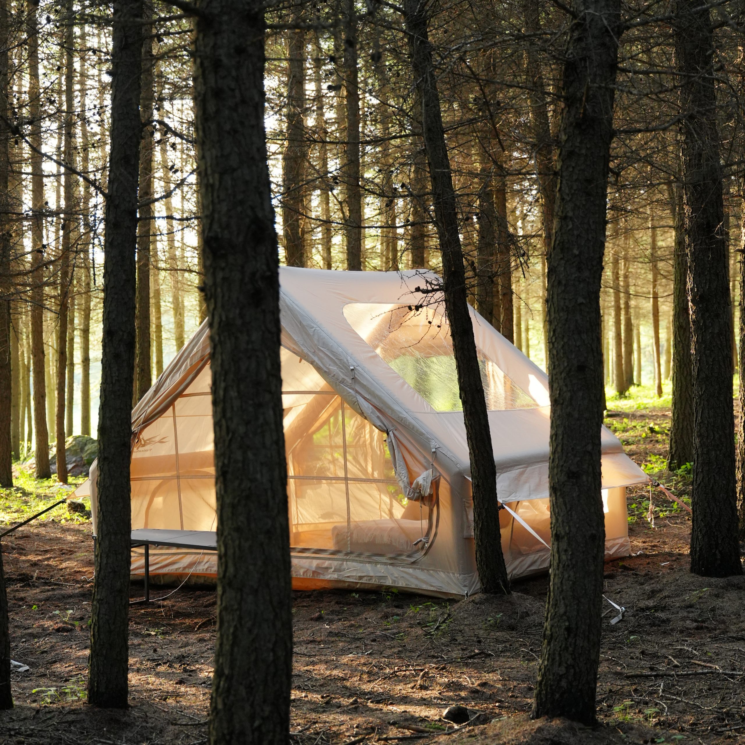 🏜️ 4 Season Inflatable Tent | Is Pakicetus Suitable for All-Weather Camping?