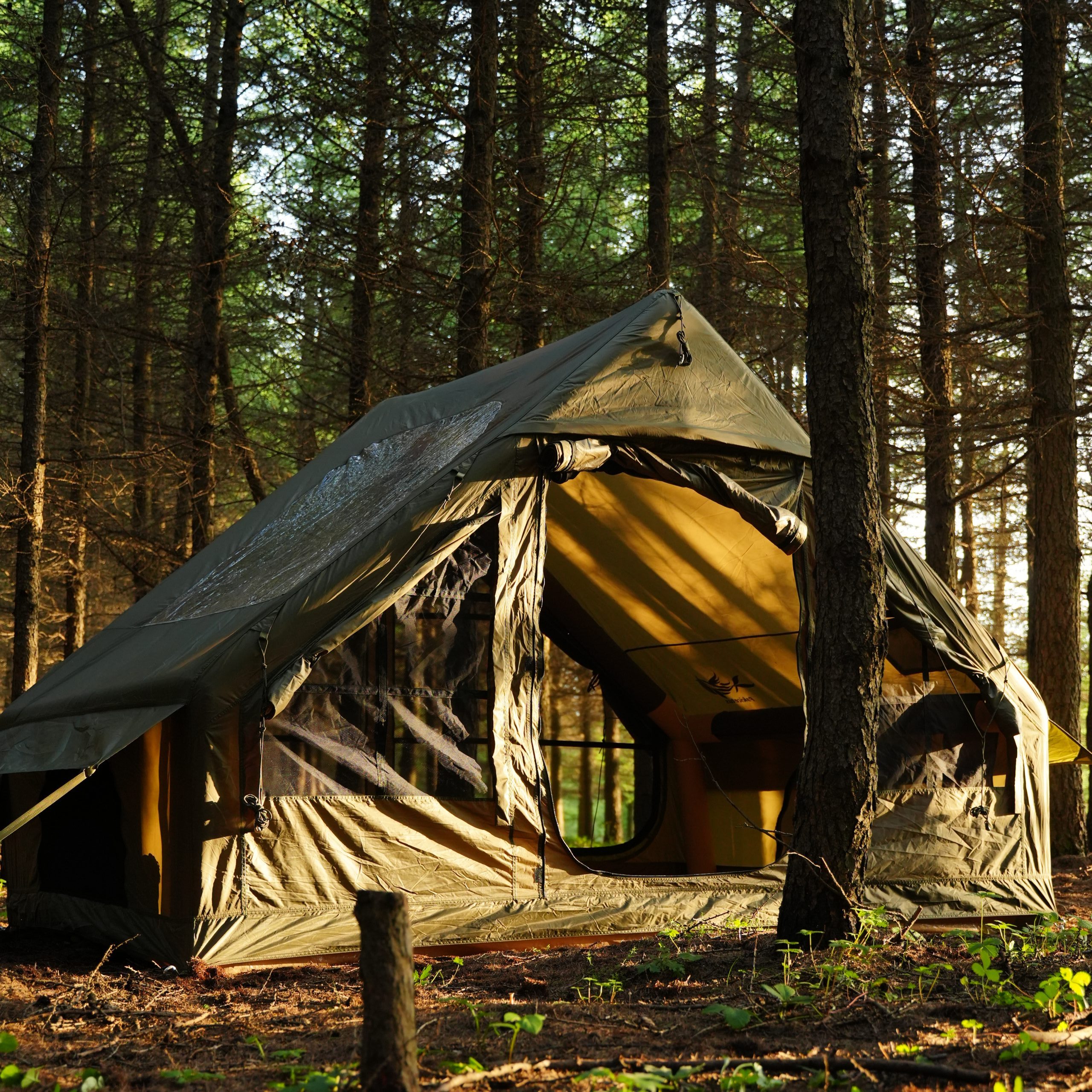 Portable Inflatable Camping Tent | Why Pakicetus Is Perfect for Travel & Road Trips