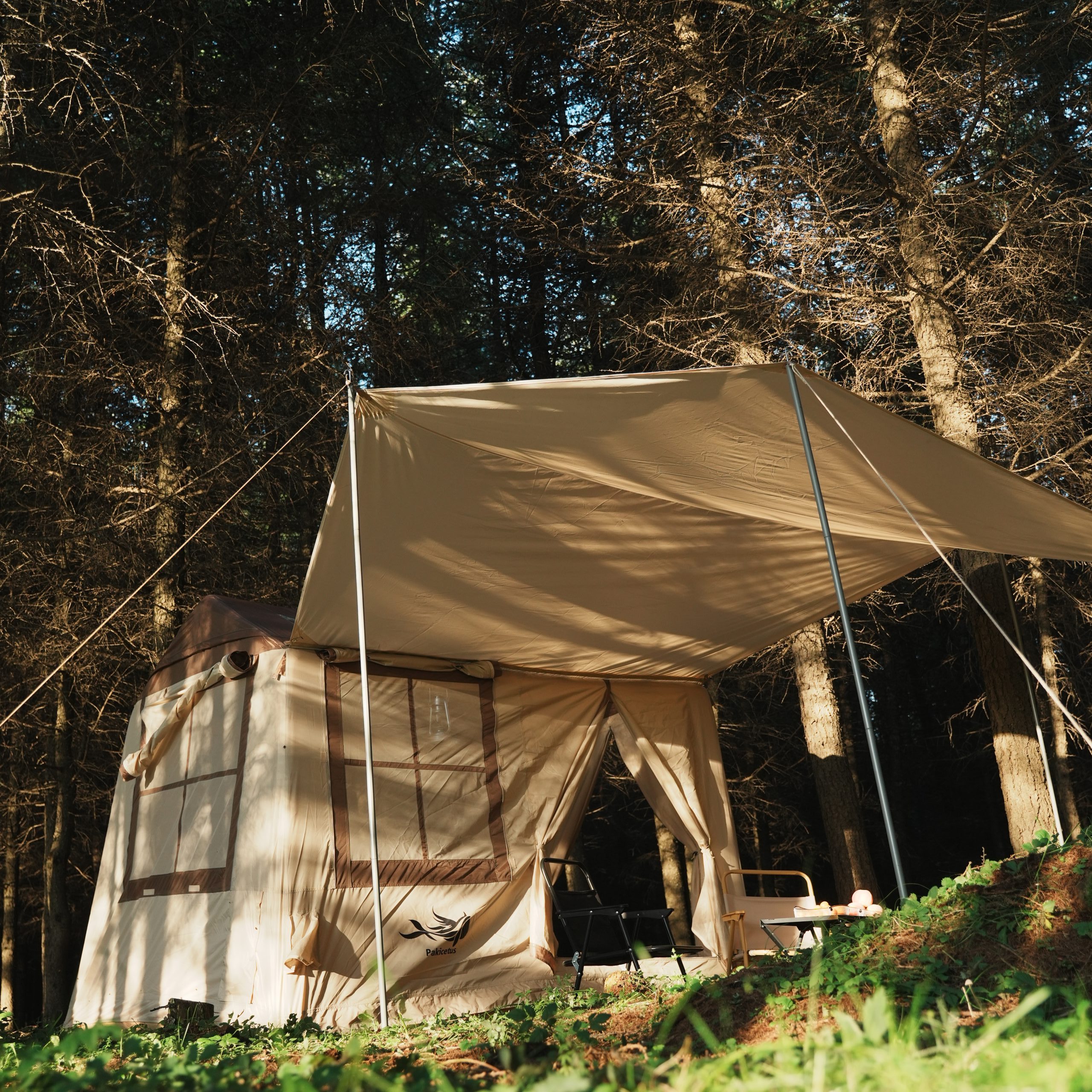 🌧️ How to Prevent Condensation Inside a Camping Tent | Complete Outdoor Comfort Guide