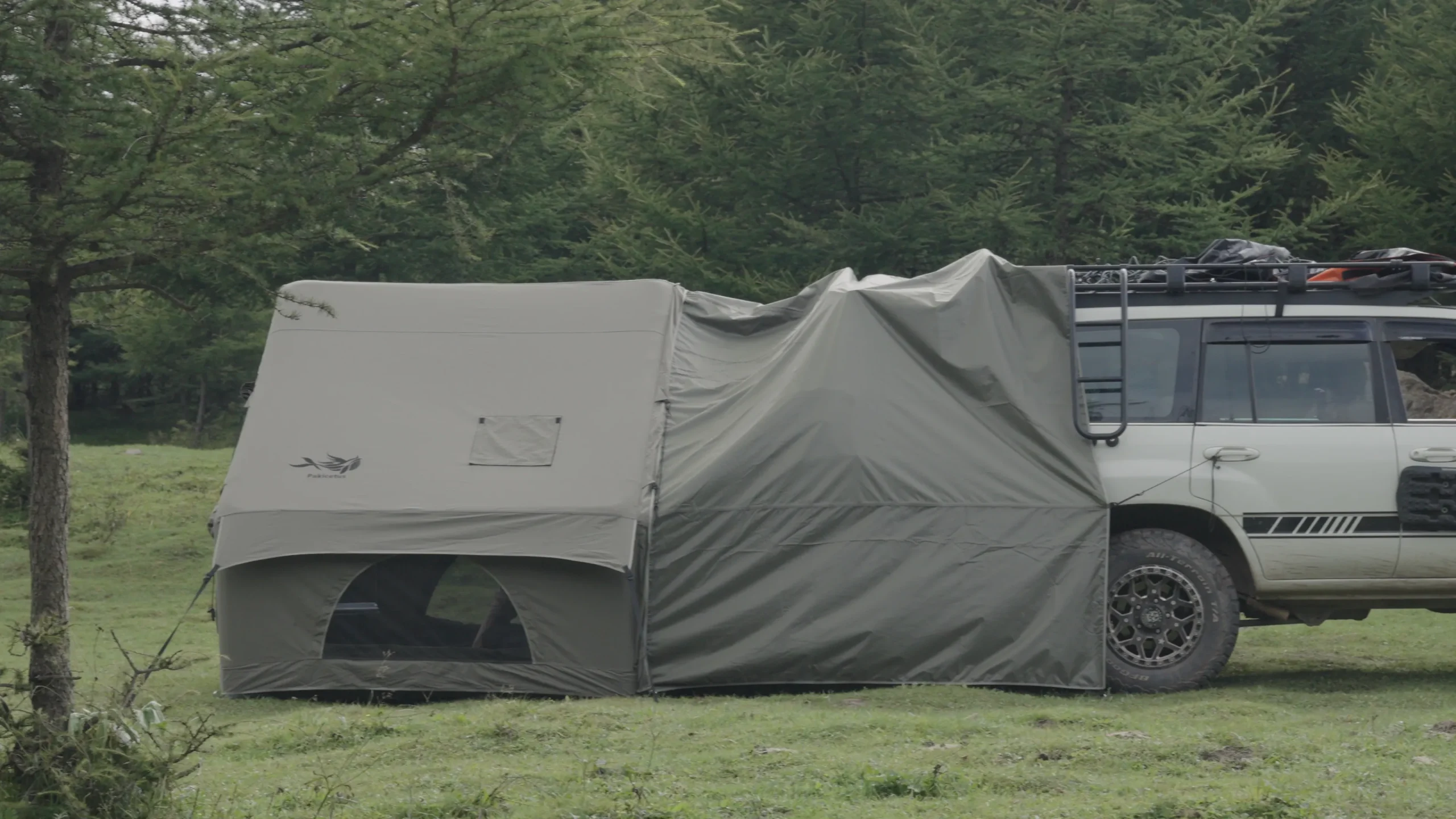 Best Tent for Camping With Dogs: What Makes a Dog-Friendly Camping Shelter?