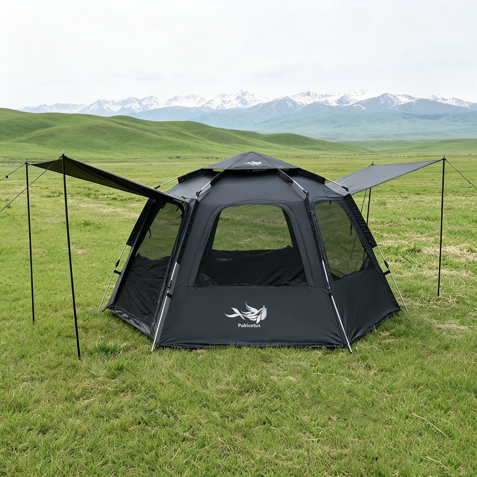 Black hexagon tent on grassland black hexagon camping tent on grassland instant outdoor shelter family camping
